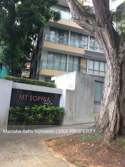 Mount Sophia Suites (D9), Apartment #202486462